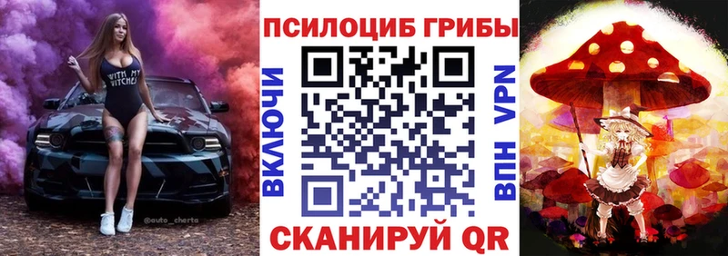 Псилоцибиновые грибы прущие грибы  Кедровый 