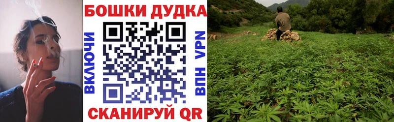 цены   Кедровый  Каннабис Ganja 